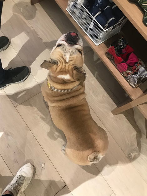 Thicc.